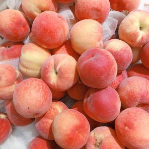 男人和女人一起生猴子无遮掩小视频
