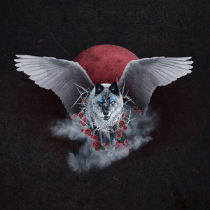 男人和女人一起生猴子无遮掩小视频
